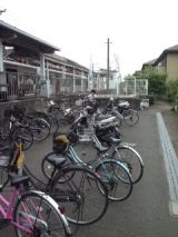 39108-4.jpg