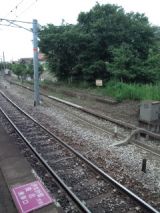 39114-2.jpg