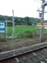 39120-4.jpg