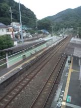 39121-1.jpg