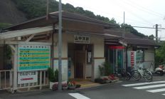 39121-4.jpg
