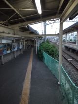 39124-1.jpg