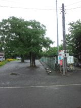 39201-2.jpg