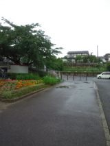 39201-4.jpg
