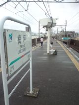39203-1.jpg