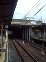39204-1.jpg