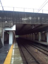 39206-1.jpg