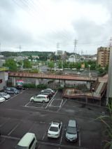 39207-2.jpg