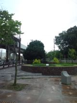 39208-7.jpg