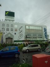 39211-3.jpg