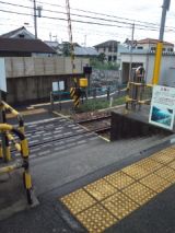 39218-3.jpg