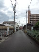 39218-7.jpg