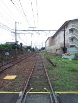 39219-1.jpg