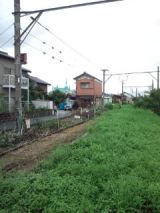 39220-2.jpg