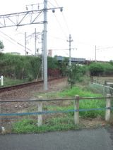 39225-1.jpg