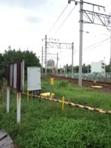 39225-2.jpg