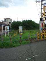 39225.jpg