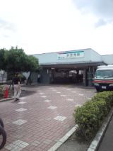 39234-5.jpg