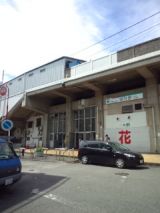 39237-4.jpg