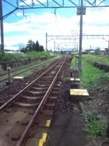 39243.jpg