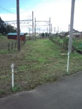 39244-3.jpg