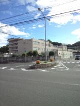 39248-7.jpg