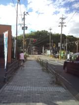39249-4.jpg