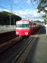 39250-5.jpg