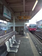 39251.jpg