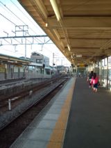 39255-1.jpg