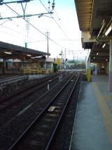 39256-1.jpg
