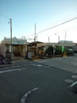 39256-3.jpg