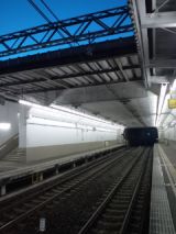 39263-1.jpg