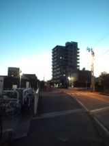 39263-4.jpg