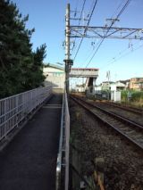39269-3.jpg