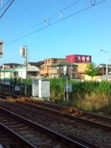 39269-5.jpg