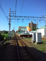 39271-5.jpg