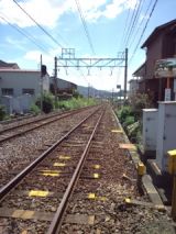 39289-3.jpg