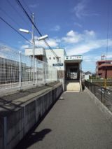 39291-1.jpg