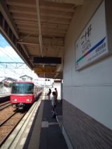 39291-3.jpg