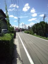 39292-4.jpg