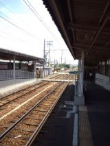39293-1.jpg