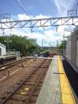 39299-1.jpg