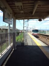 39299.jpg