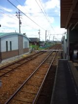39303-1.jpg