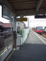 39303.jpg