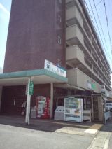 39305-3.jpg