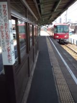39306-6.jpg