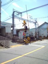 39307-3.jpg