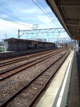 39308-1.jpg